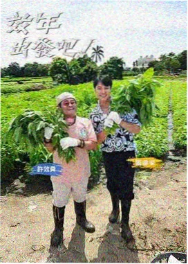 浩哥电影全集 美食综艺深夜小吃摊